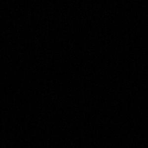 Meet your Posher, Teddy